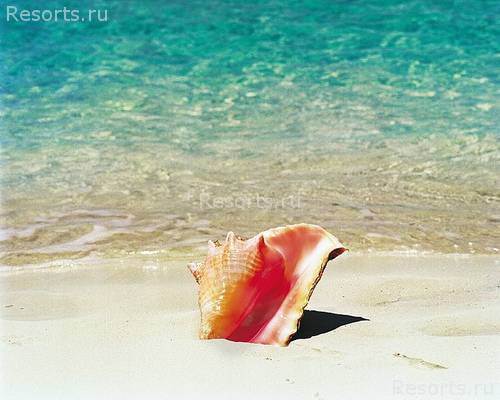 Four Seasons Resort Great Exuma 13